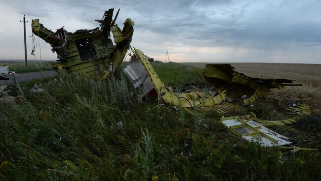 Крушение малайзийского Boeing на Украине