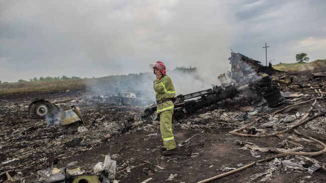 Крушение малайзийского Boeing на Украине. Архивное фото