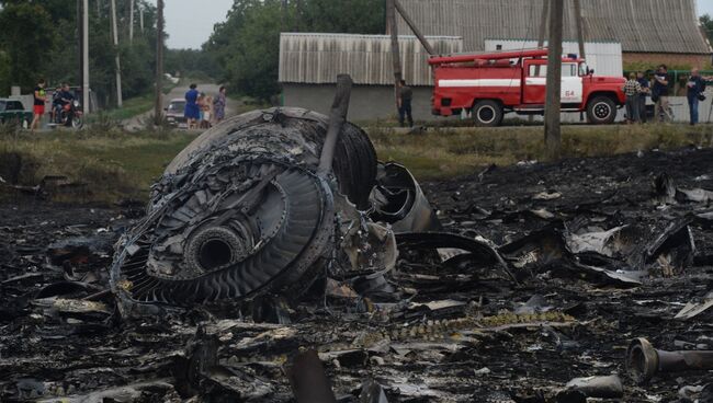 Крушение малайзийского Boeing на Украине. Архивное фото