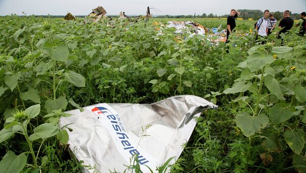 Крушение малайзийского Boeing на Украине. Архивное фото