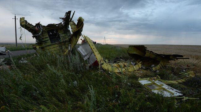 Крушение малайзийского Boeing на Украине. Архивное фото