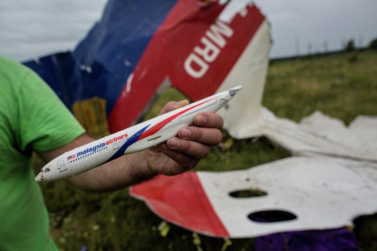 Поисковые работы на месте крушения малазийского лайнера Boeing 777 в районе Шахтерска