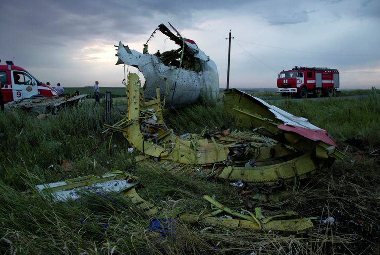 Место крушения малазийского лайнера Boeing 777 в районе Шахтерска