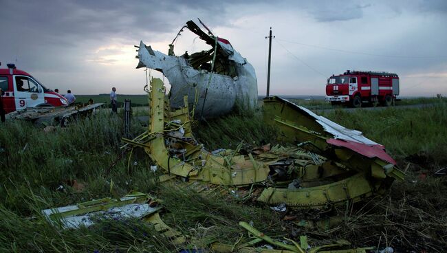 Место крушения малайзийского лайнера Boeing 777 в районе Шахтерска. Архивное фото