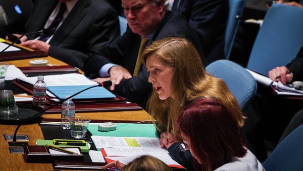Саманта Пауэр на заседании Совбеза ООН. Архивное фото
