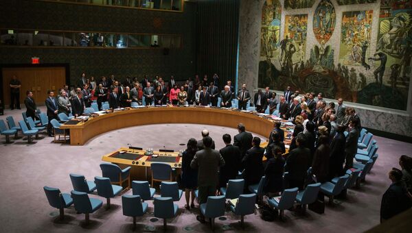 Заседание Совбеза ООН 18 июля 2014