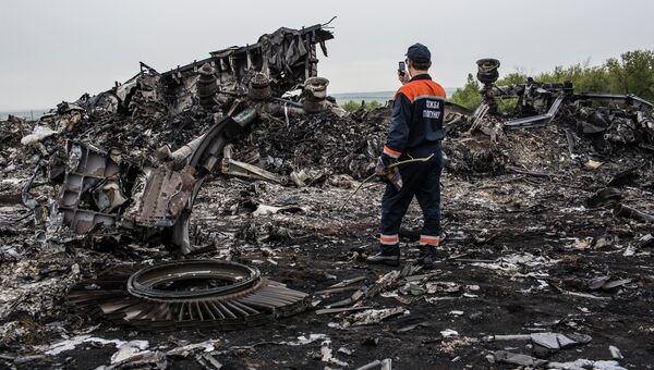 Обломки Boeing 777 компании Malaysia Airlines в районе села Грабово в Донецкой области