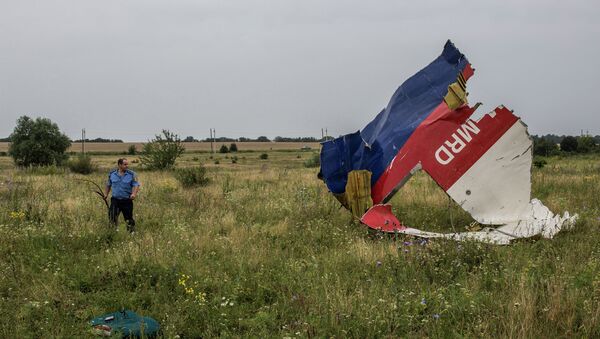 Обломки Boeing 777 компании Malaysia Airlines в районе села Грабово в Донецкой области. Архивное фото