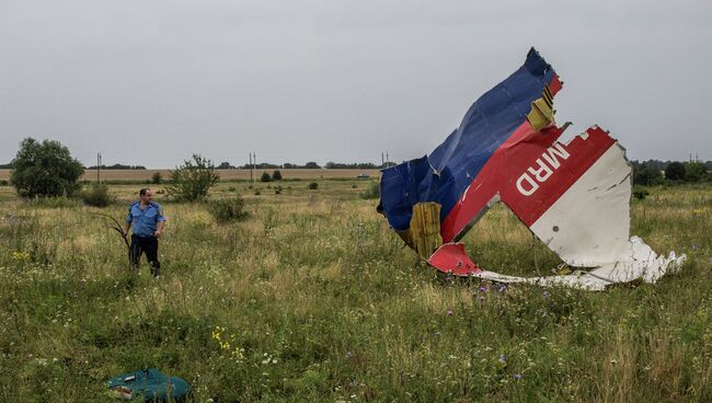 Обломки Boeing 777 компании Malaysia Airlines в районе села Грабовое в Донецкой области