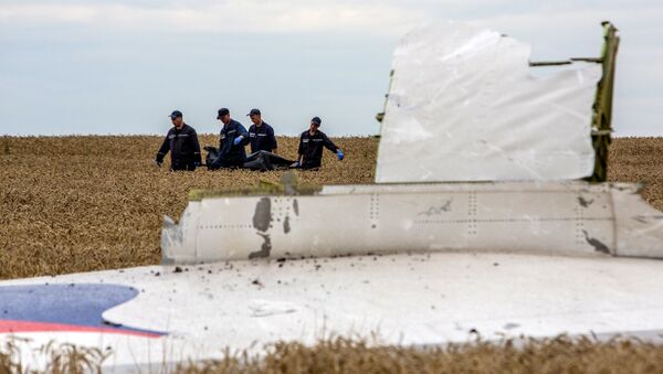 Сбор тел погибших на месте крушения малайзийского лайнера Boeing 777 в районе Шахтерска. Архивное фото