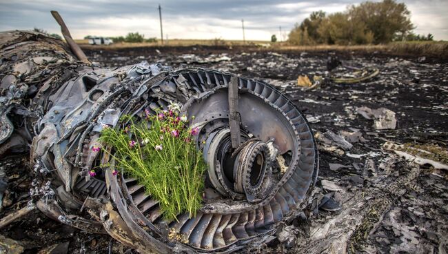 На месте крушения малайзийского лайнера Boeing 777 в районе Шахтерска. Архивное фото