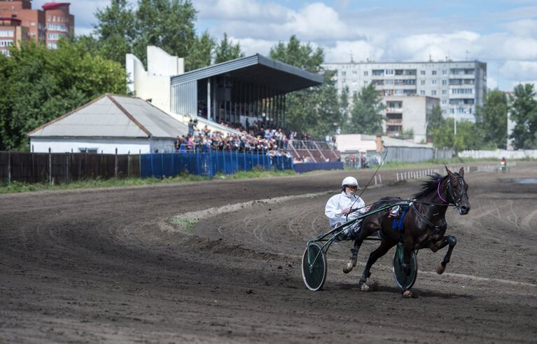 Жокей во время скачек