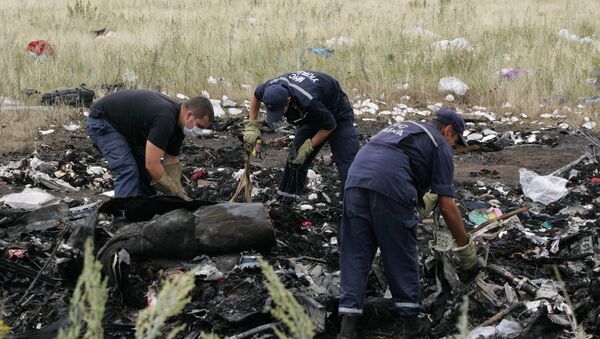 На месте крушения самолета Boeing 777 авиакомпании Malaysia Airlines на Украине. Архивное фото