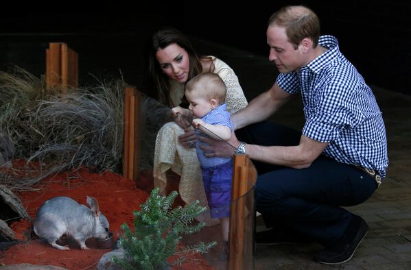Принц Уильям и герцогиня Кэтрин вместе с сыном наблюдают за билби в зоопарке Сиднея, Австралия