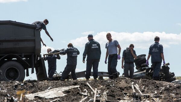 Работы на месте крушения самолета Boeing 777 авиакомпании Malaysia Airlines на Украине. Архивное фото