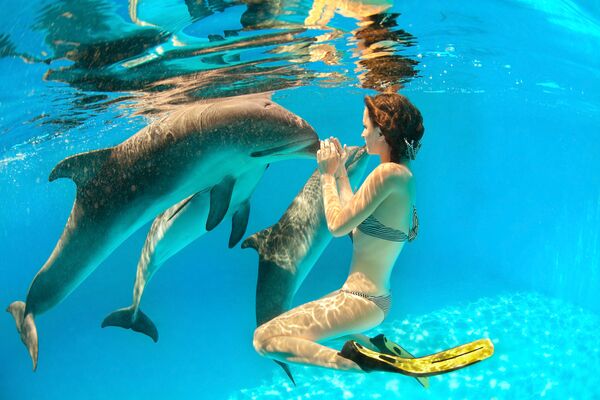 Девушка с дельфинами под водой