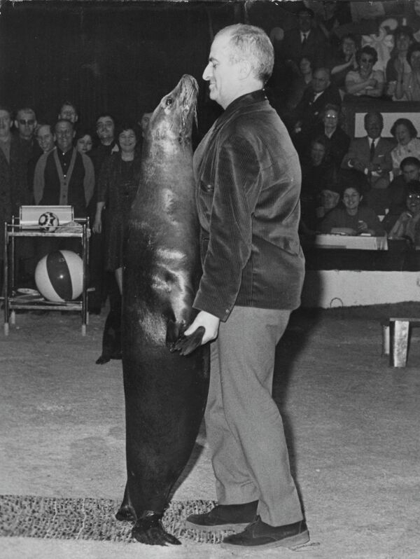 Французский актер Луи де Фюнес танцует с тюленем