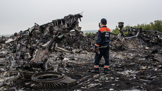 Обломки Boeing 777 компании Malaysia Airlines в районе села Грабово в Донецкой области. Архивное фото