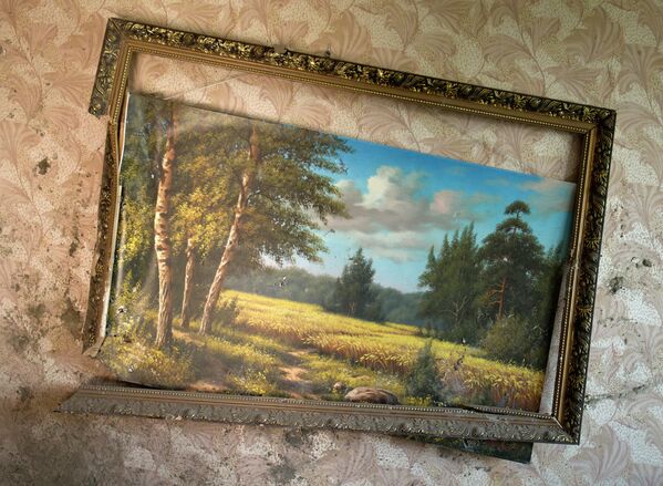 Картина в квартире в Донецке, разрушенной в результате артиллерийского обстрела