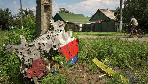 Обломок самолета Boeing 777 компании Malaysia Airlines в районе поселка Петропавловка, Украина