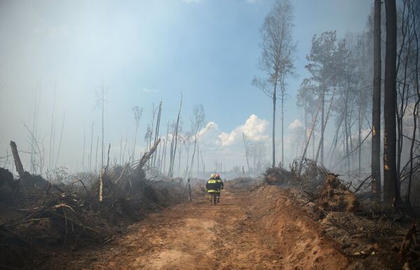 Лесные пожары в Тверской области