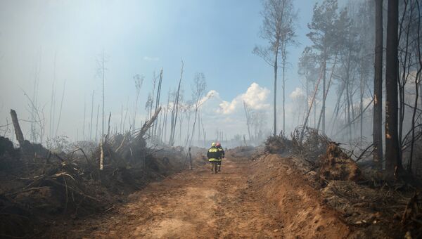Лесные пожары в Тверской области. Архивное фото