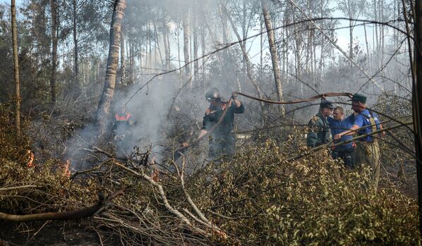 Сотрудники МЧС России на месте лесных пожаров в Тверской области