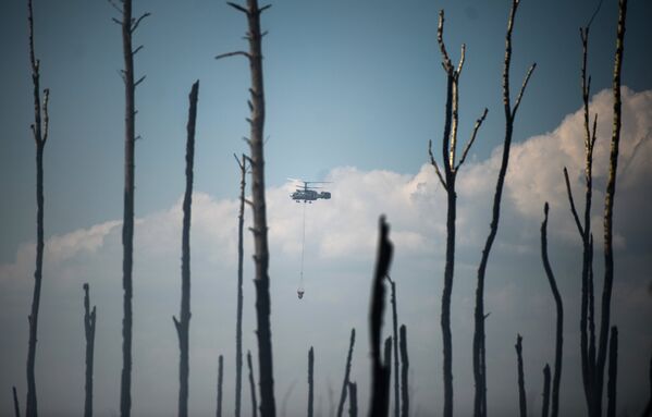 Вертолет пожарной охраны на месте лесных пожаров в Тверской области