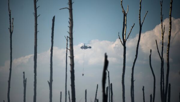 Вертолет пожарной охраны на месте лесных пожаров в Тверской области