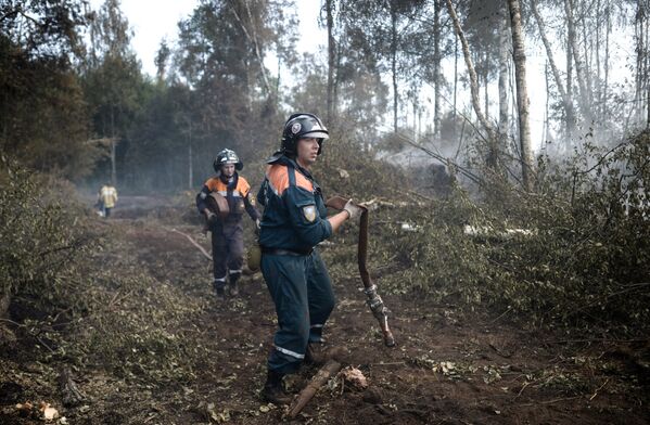 Сотрудники пожарной охраны на месте лесных пожаров в Тверской области