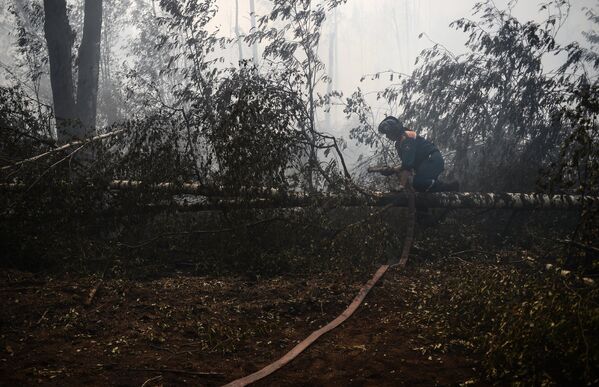 Сотрудник МЧС России на месте лесных пожаров в Тверской области