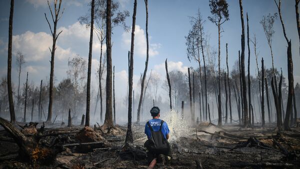 Сотрудник пожарной охраны на месте лесных пожаров в Тверской области. Архивное фото