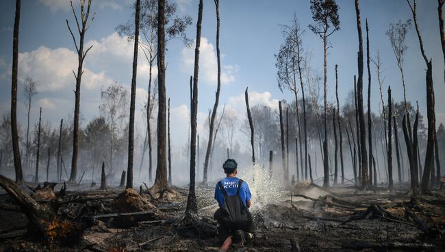 Сотрудник пожарной охраны на месте лесных пожаров в Тверской области