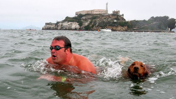 Собака и ее хозяин участвуют в заплыве побег из Алькатраса