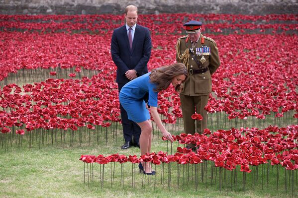 Принц Уильям и герцогиня Кембриджская Кэтрин во время посещения инсталляции, посвященной памяти погибших в Первой мировой войне