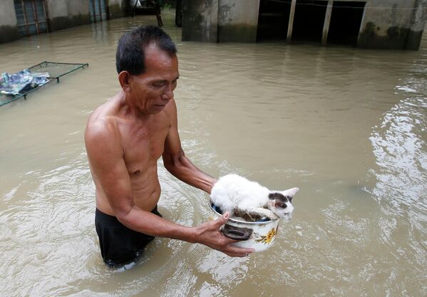 Мужчина несет своего кота по затопленной улице на севере Манилы, Филиппины