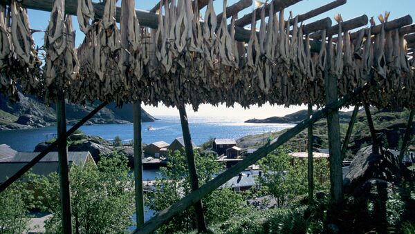Рыбацкий поселок в Норвегии. Архивное фото
