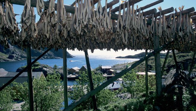 Вид на рыбацкий поселок Намсос в Норвегии. Архивное фото