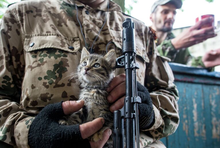 Котенок по кличке Псих на руках у ополченца