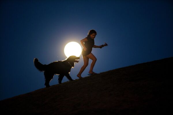 Девочка с собакой на фоне полной луны