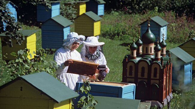 Монастырская пасека. Архивное фото