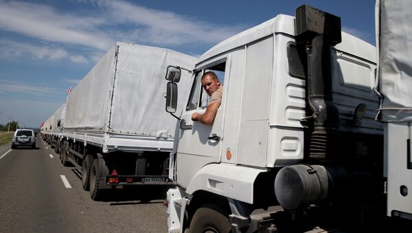 Водитель грузовика с гуманитарной помощью из РФ. Архивное фото