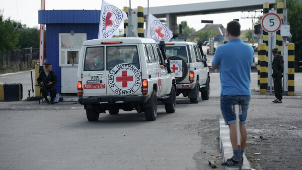 Автомобили Красного Креста, которые сопровождают колонну автомобилей КамАЗ с гуманитарной помощью для жителей юго-востока Украины, на КПП Донецк