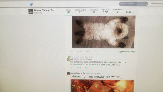 Страница сайта Twitter Islamic State of cat