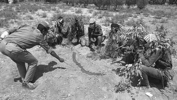 Члены партизанского отряда освобождения народа Палестины вблизи реки Иордан, 1968 год