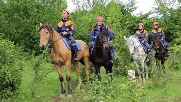 Работа конных поисково-спасательных отрядов МЧС России в Сочи