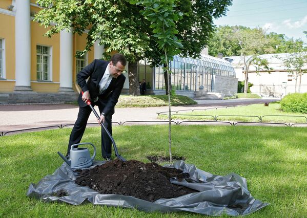 Дмитрий Медведев сажает дерево на территории Музея-усадьбы Гавриила Державина в Санкт-Петербурге