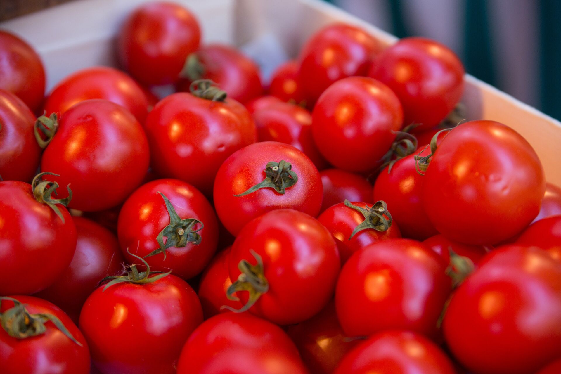 маринованные помидоры черри быстрого приготовления с чесноком и зеленью | Дзен