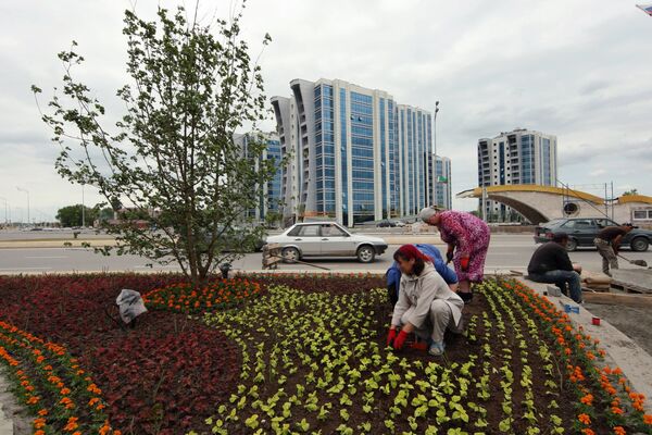 Рабочие высаживают цветы в городе Аргун