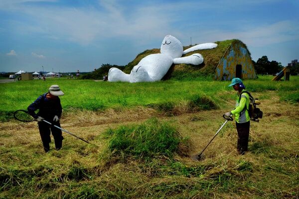 Гигантская фигура кролика на поле на Тайване